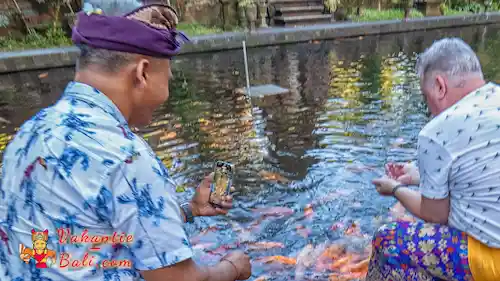 Koikarpers voeren bij Pura Tirtha Empul tempel.
